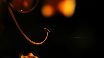 IMG_7011.jpg