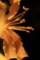 IMG_7018.jpg