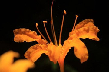 IMG_7019.jpg