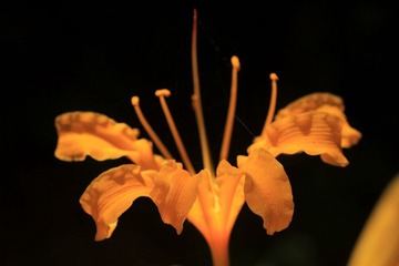 IMG_7020.jpg