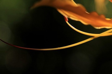 IMG_7023.jpg