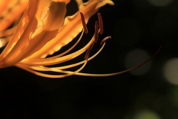 IMG_7024.jpg