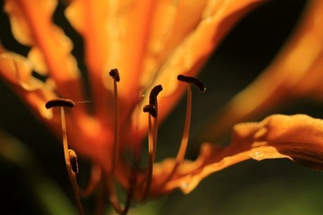 IMG_7025.jpg