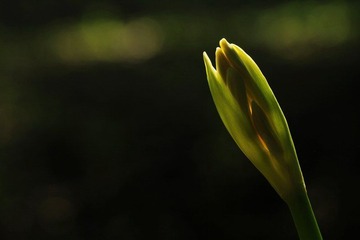 IMG_7035.jpg