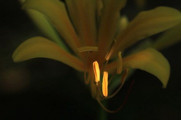 IMG_7038.jpg