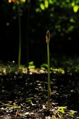 IMG_7040.jpg