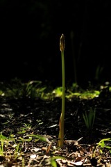 IMG_7041.jpg