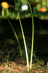 IMG_7046.jpg
