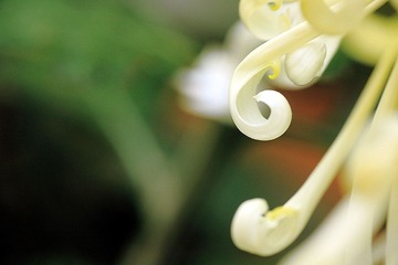 DPP_0085.JPG