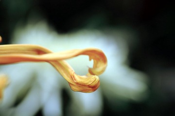 DPP_0100_副本.jpg