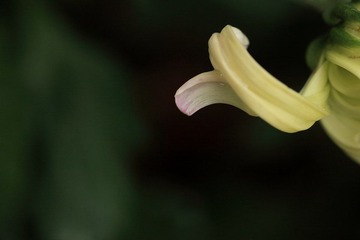 DPP_0231.JPG