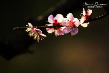 IMG_3946.jpg