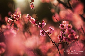IMG_3965.jpg