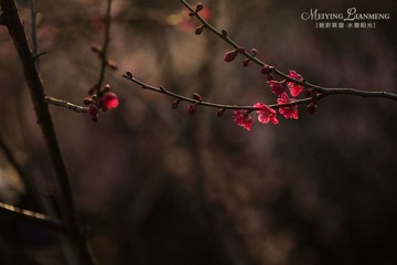 IMG_3968.jpg