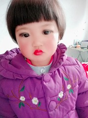 12529