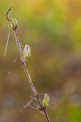 DSC05290_
