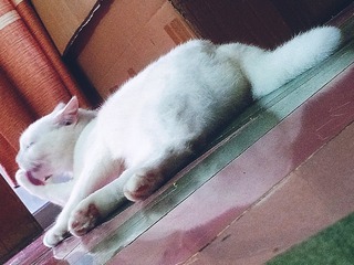 20150903_140304