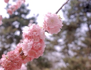 E59E06CC-9FD6-4C94-8D82-6370BC772BA5/L0/001