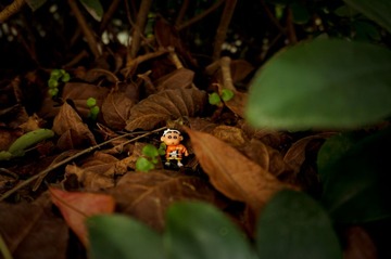 DSC04129 (1).jpg