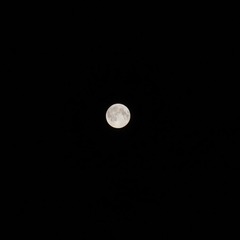 DSC07685 (1).JPG
