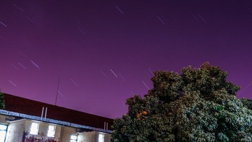 DSC09963-2.jpg