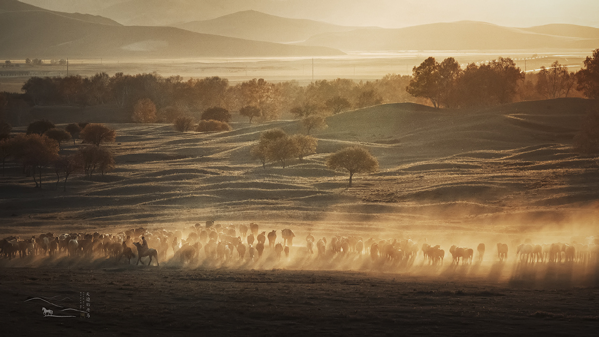 万马奔腾 - 天边的老马 - 图虫