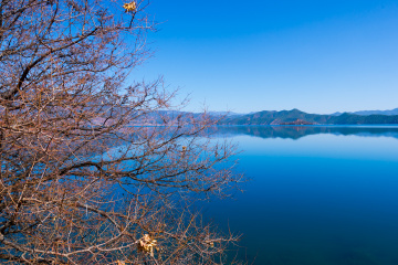_DSC3108 120203