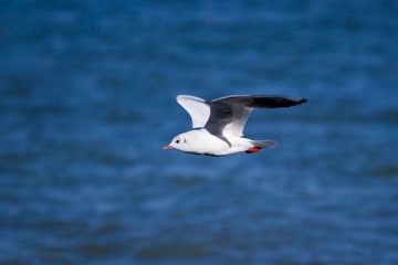 _DSC3147 120203