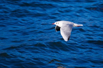 _DSC3216 120203