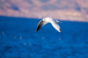 _DSC3221 120203