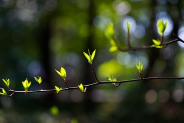 _DSC3446 120207