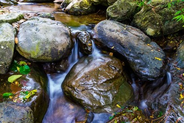 _DSC7682 110807