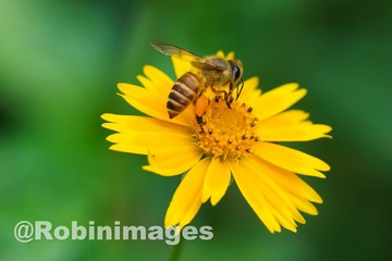 _DSC6688 150910
