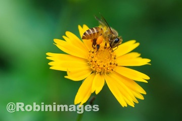 _DSC6701 150910