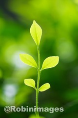 _DSC6753 150910