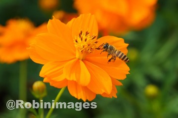 _DSC7035 150914
