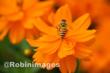 _DSC7173 150914