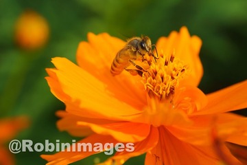 _DSC7210 150914