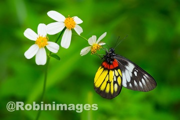 _DSC8281 150928