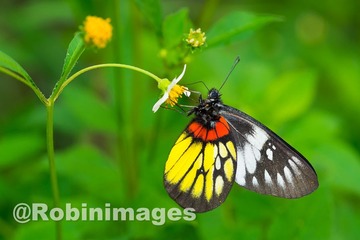 _DSC8292 150928