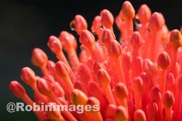 _DSC8593 151002