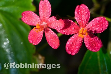 _DSC8607 151002