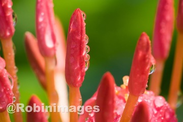 _DSC8628 151002