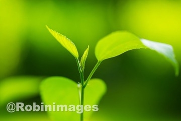 _DSC8657 151002