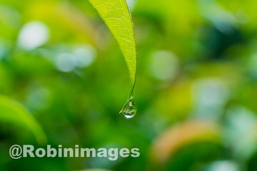 _DSC8682 151002