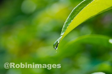 _DSC8751 151002