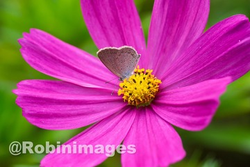 _DSC9556 151007