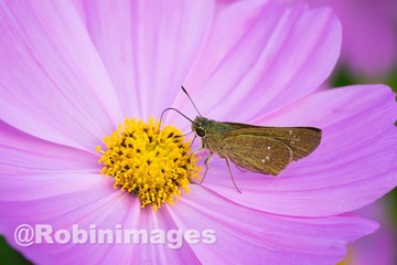 _DSC9649 151007