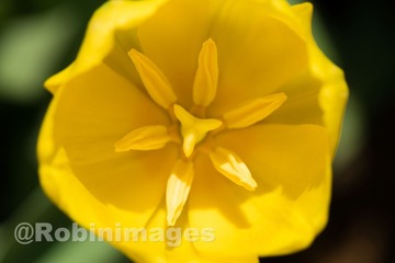 _DSC9664 160213