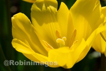 _DSC9667 160213